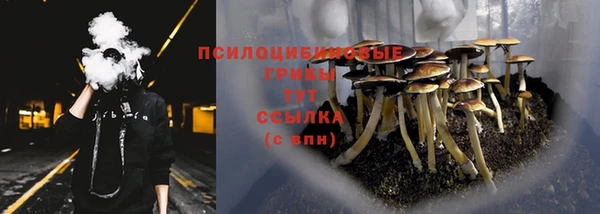 mdpv Арсеньев
