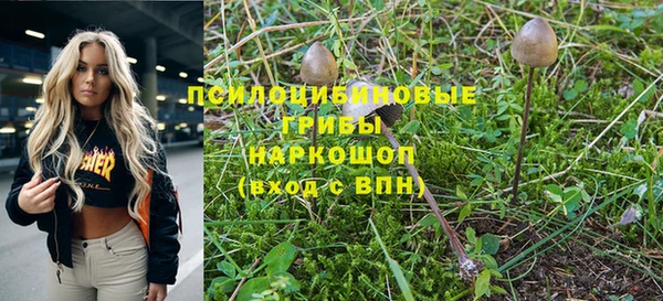 mdpv Арсеньев