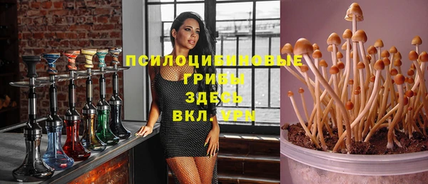 mdpv Арсеньев